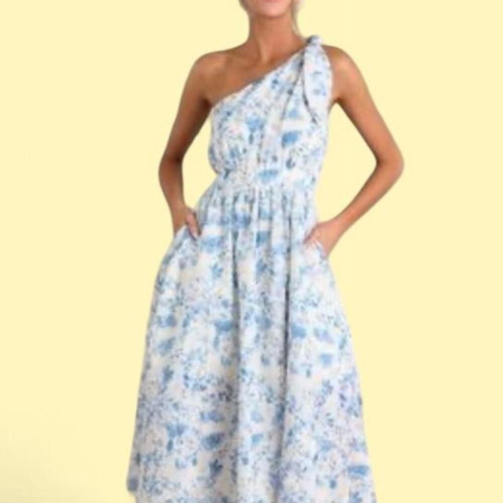 Anthropologie Entro Timeless Romantic Floral Toil One Shoulder Midi Dress